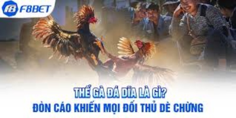 Thông Tin Chi Tiết Về Các Trận Đấu